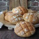 Tartarughe Bianche